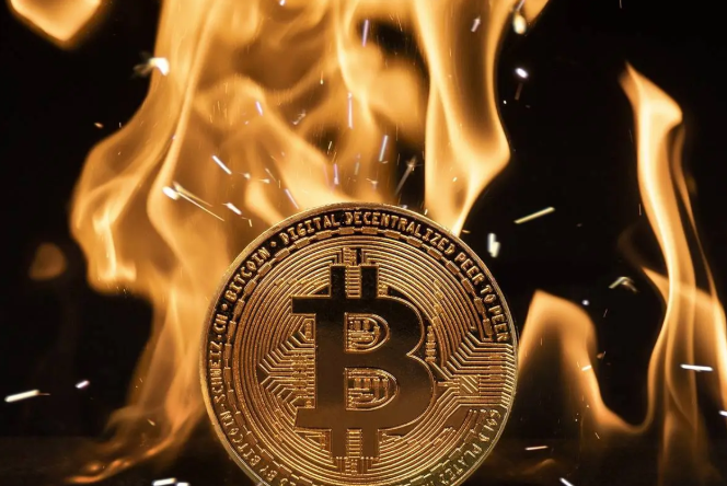 What Is Coin Burning?